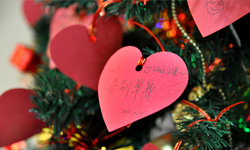 心愿樹(shù)散發(fā)溫暖氣息