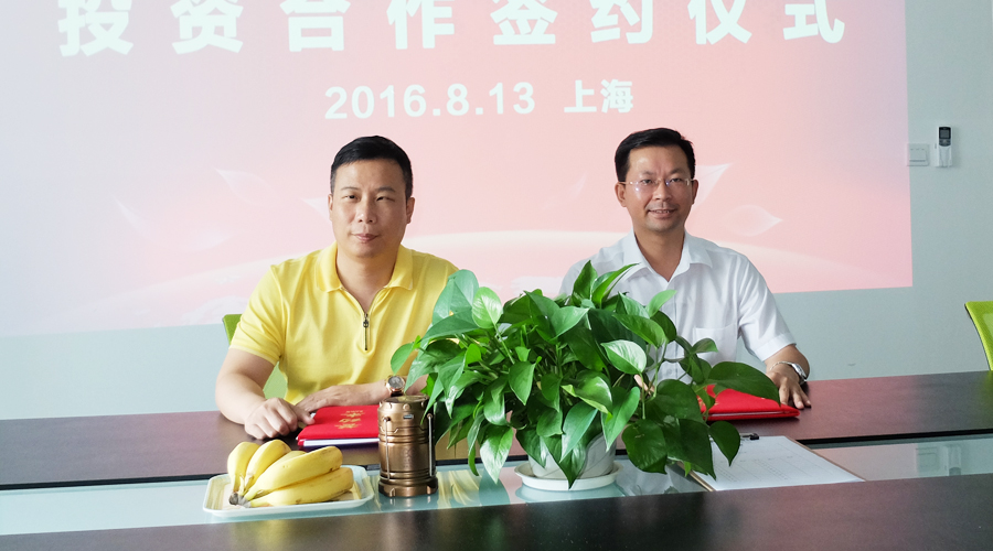 中金國泰集團與上海正硅新能源公司簽署投資合作協(xié)議